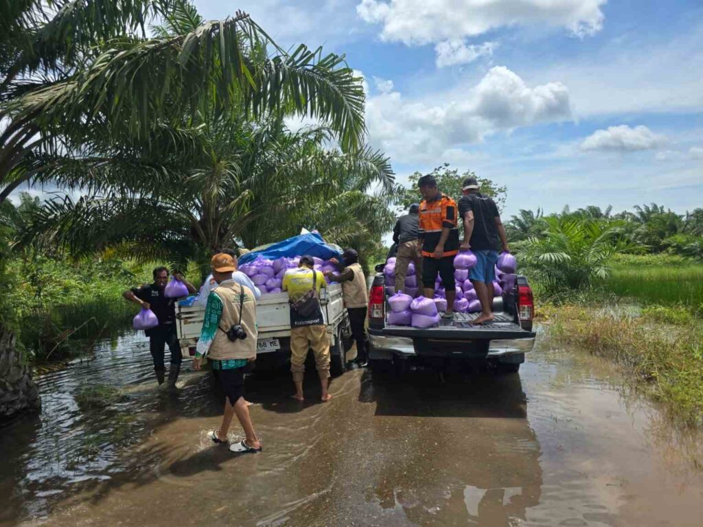 2aac8717-a9d9-4c79-a1d9-349579f6736b-1536x1152