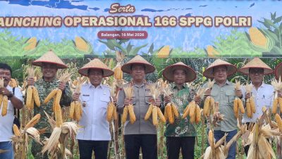 IMG-20260517-WA0028(1)