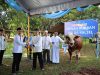 Polda Kalsel Tebar 159 Hewan Kurban di Idul Adha 1447 H, 28 Sapi Disalurkan ke Pesantren dan Yayasan Yatim IMG-20260528-WA0032