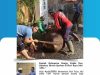 Kantah Kabupaten Banjar Kelola dan Salurkan Hewan Qurban di Hari Raya Idul Adha IMG-20260531-WA0010