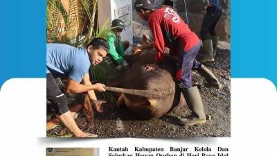 IMG-20260531-WA0010