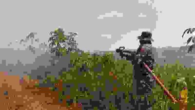 IMG-20260822-WA0006